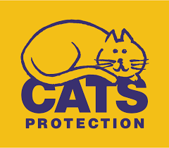 Cats Protection hires immediate future to deliver purr-fect social media marketing