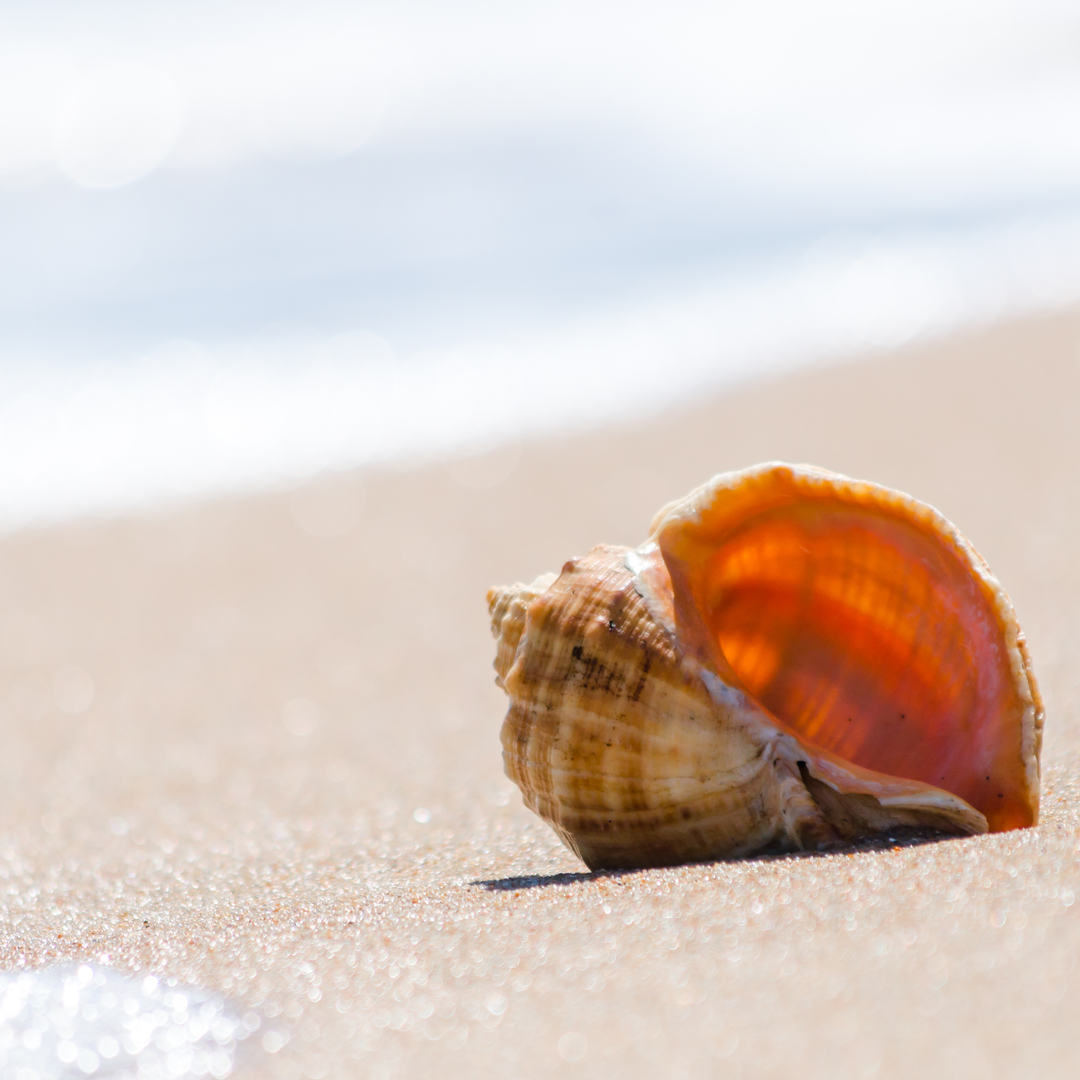 Travel buyers shift the social conversation